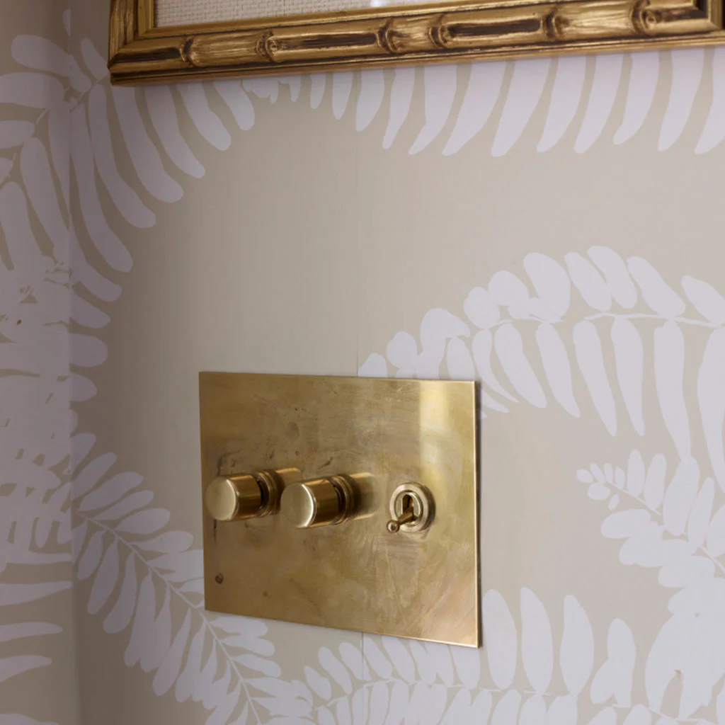 Combination Rotary Dimmers and Toggle Switches by Forbes & Lomax - Image 13